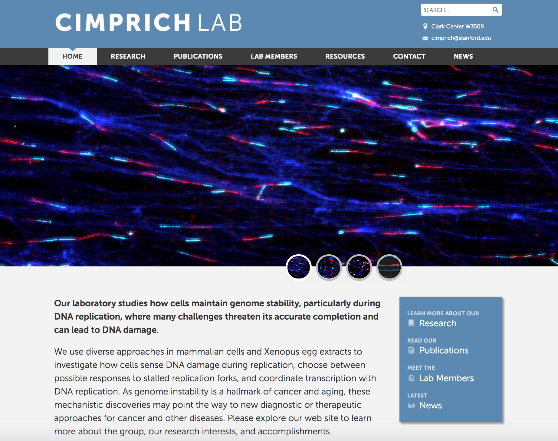 Newly designed Cimprich Lab website
