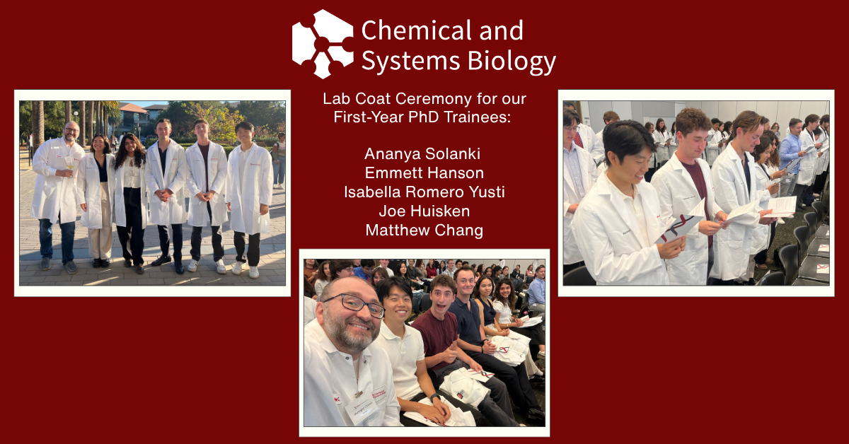 Celebrating Our 2026 First-Year CSB PhD Cohort!