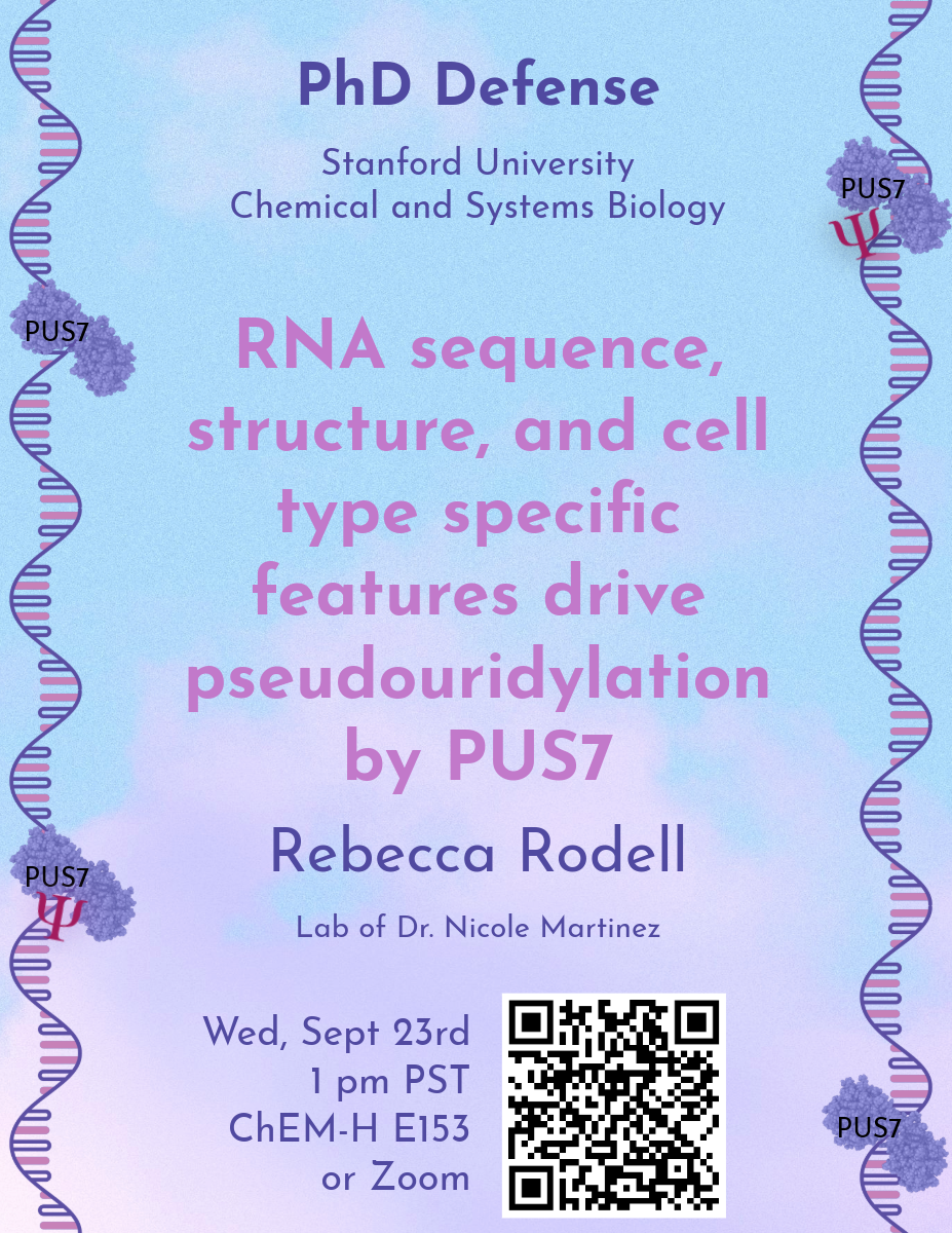 JOIN US! CSB Thesis Defense, Rebecca Rodell, Wednesday, September 23, 1pm, ChEM-H E153!